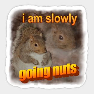 I am slowly going nuts squirrel word art Sticker